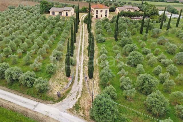 casa indipendente in vendita a Cortona in zona Creti