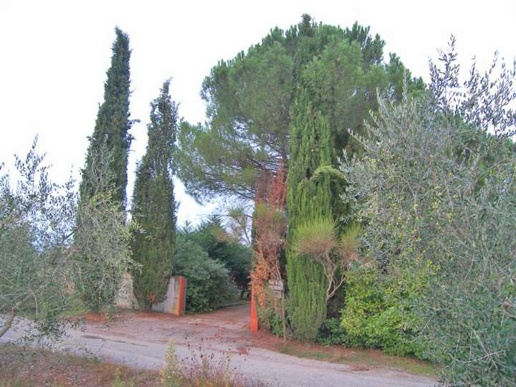 casa indipendente in vendita a Cortona