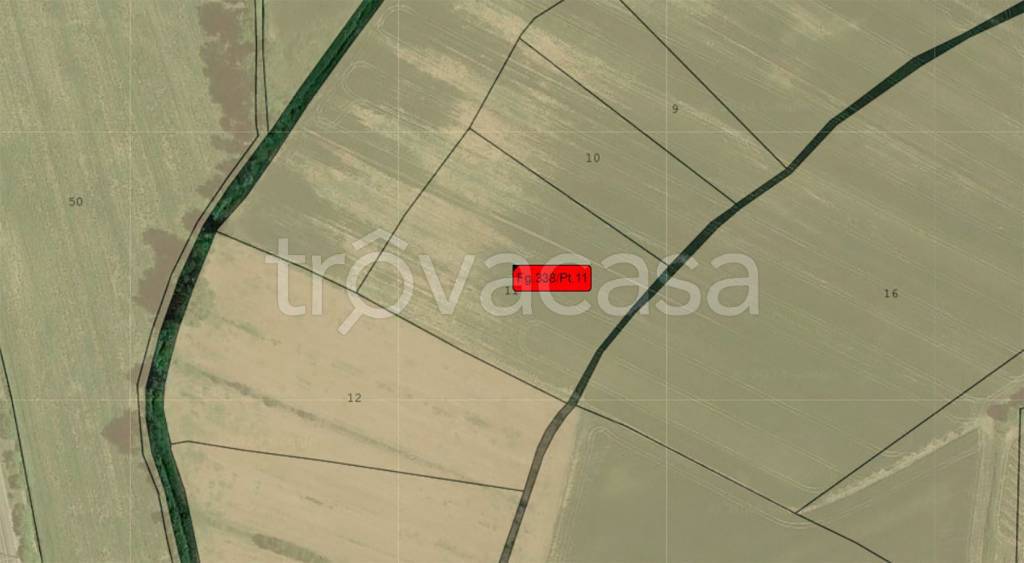 terreno agricolo in vendita a Cortona