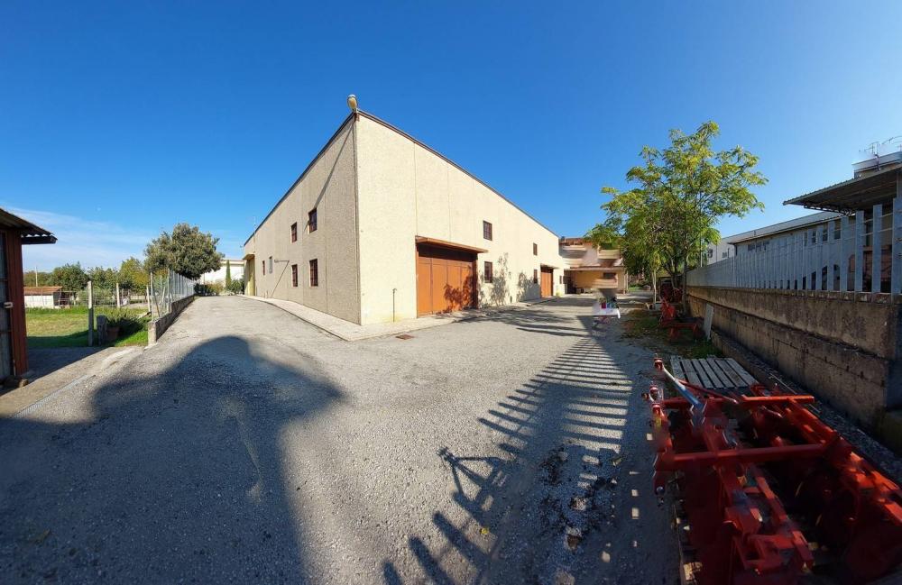 negozio in vendita a Cortona