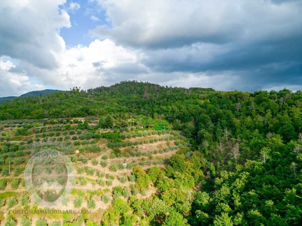 casale in vendita a Cortona in zona Montecchio