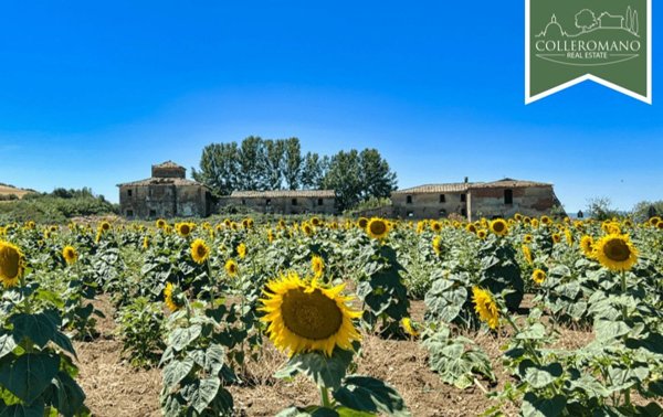 casale in vendita a Cortona