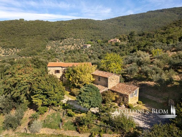 casa indipendente in vendita a Cortona in zona Casale