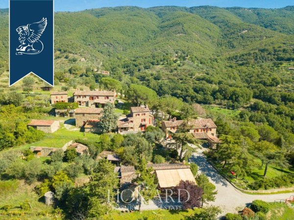 negozio in vendita a Cortona