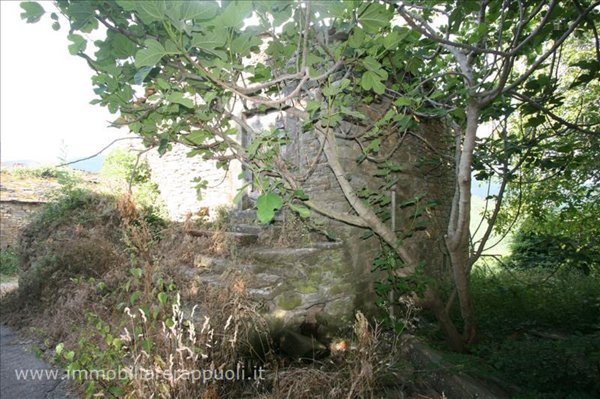casa indipendente in vendita a Cortona in zona Casale