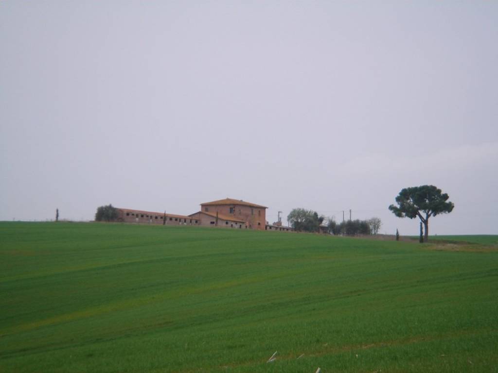 casa indipendente in vendita a Cortona in zona Casale