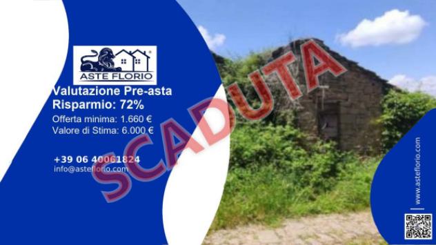 terreno agricolo in vendita a Cortona in zona Tornia