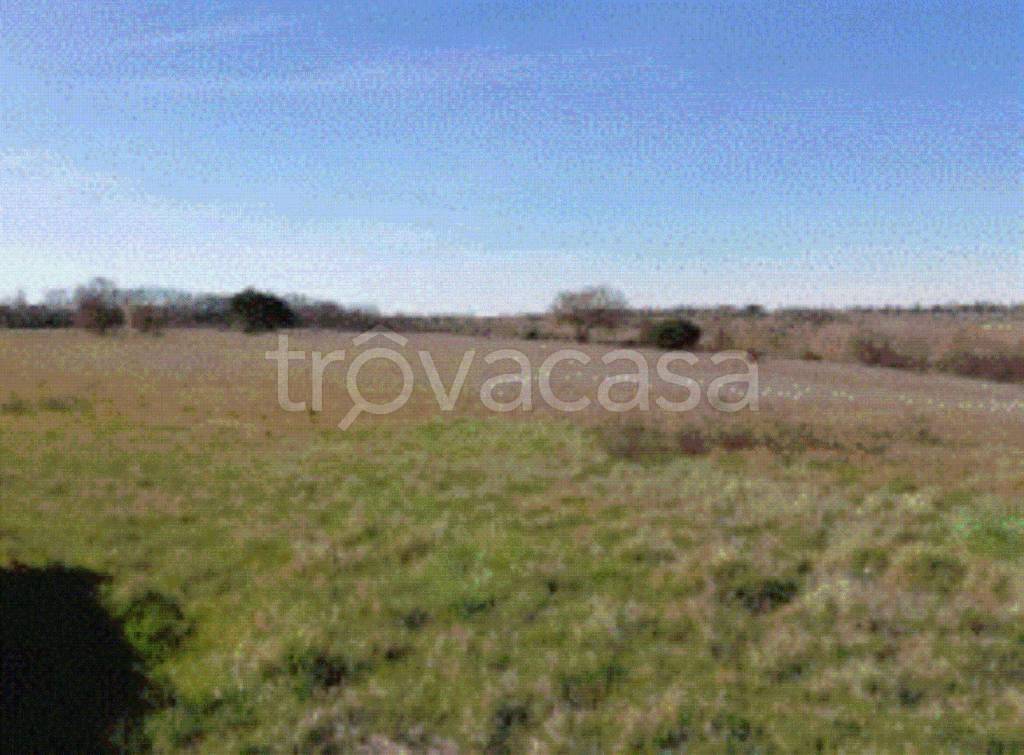 terreno agricolo in vendita a Cortona
