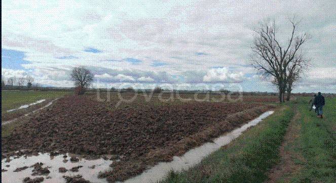 terreno agricolo in vendita a Cortona in zona Fratta