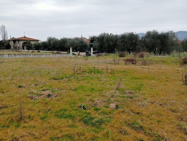 terreno edificabile in vendita a Cortona in zona Ossaia