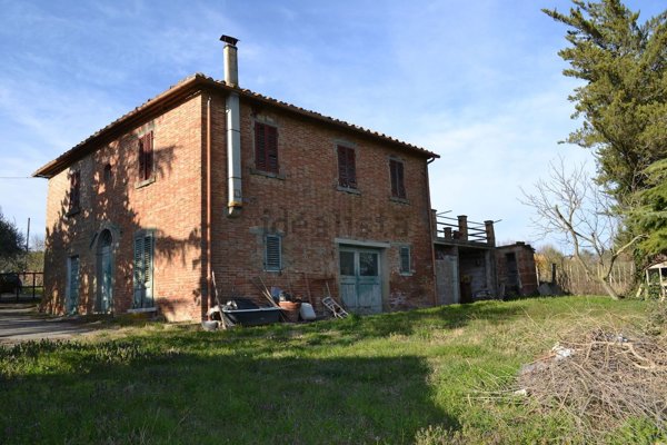 esavano in vendita a Cortona in zona Montecchio