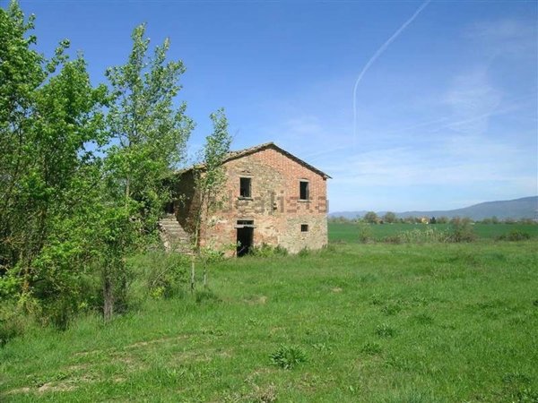 esavano in vendita a Cortona