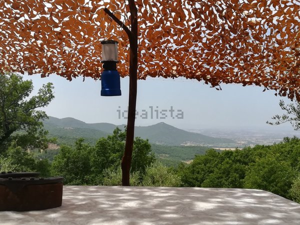 terreno agricolo in vendita a Cortona in zona Montanare