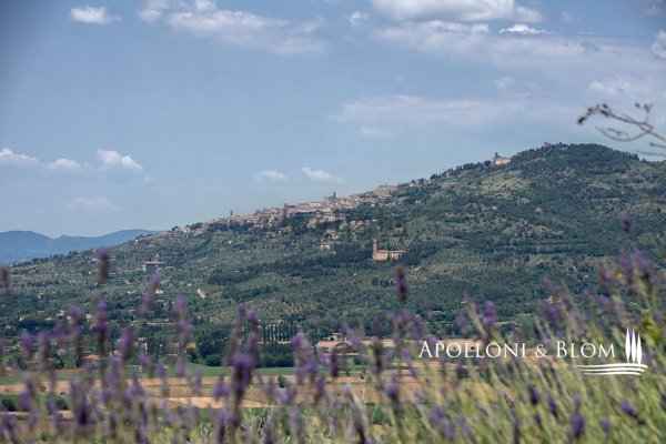 villa in vendita a Cortona