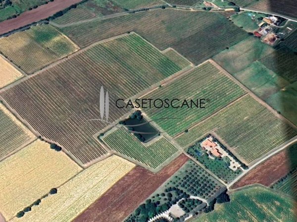 terreno agricolo in vendita a Cortona