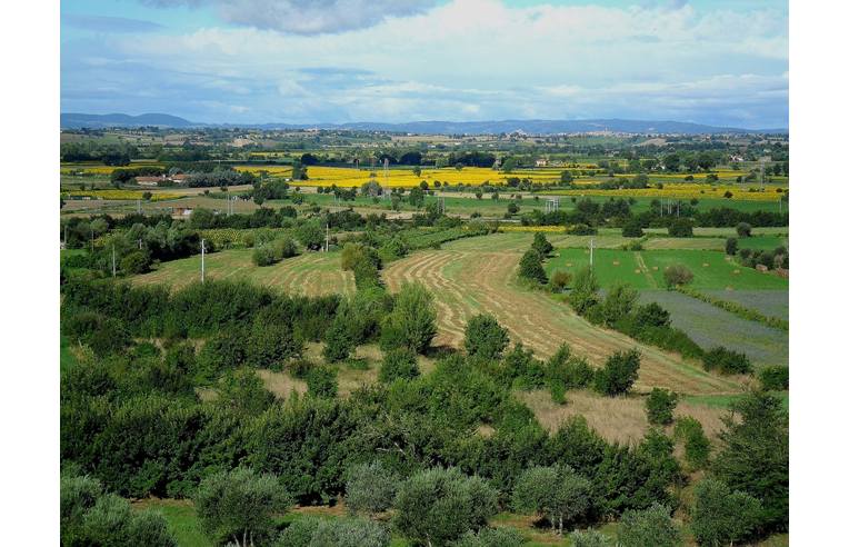 appartamento in vendita a Cortona in zona Camucia