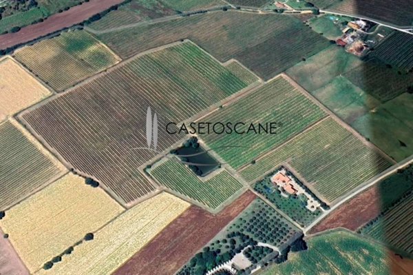 terreno agricolo in vendita a Cortona