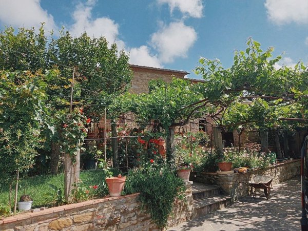 casa indipendente in vendita a Cortona