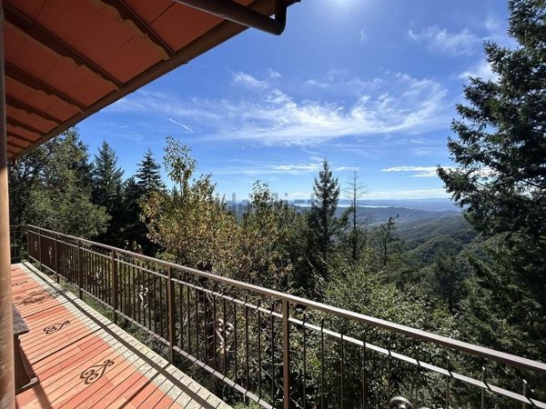 esavano in vendita a Cortona in zona Portole