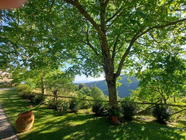 casale in vendita a Cortona