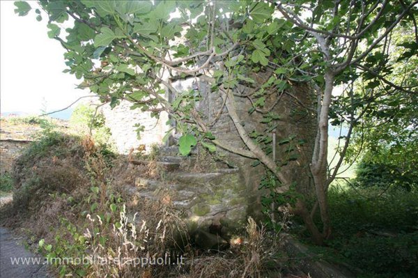 casa indipendente in vendita a Cortona
