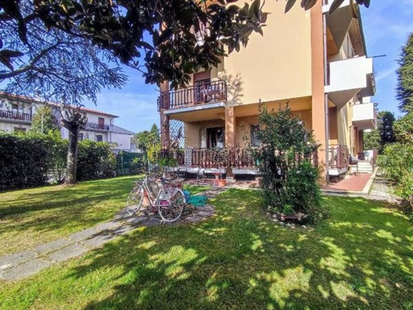 esavano in vendita a Cortona in zona Camucia