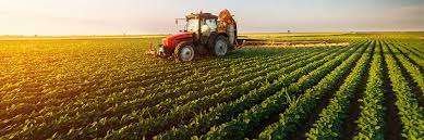 terreno agricolo in vendita a Cortona
