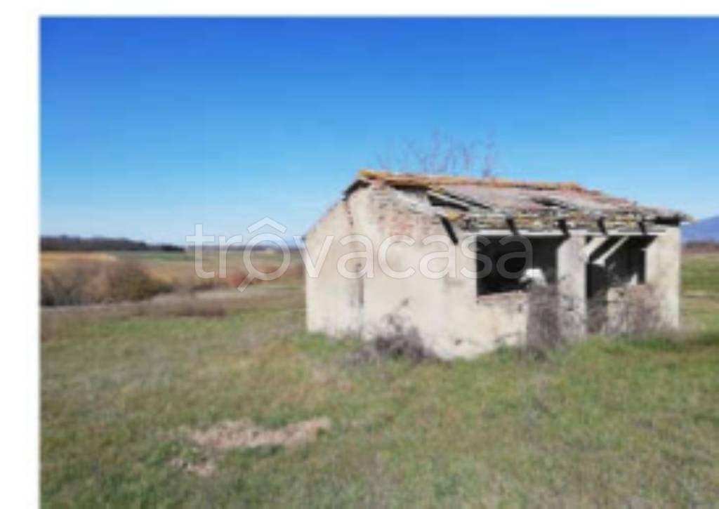 terreno agricolo in vendita a Cortona