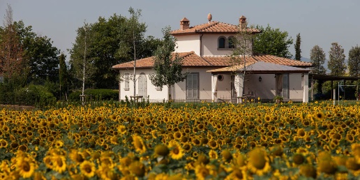 casa indipendente in vendita a Cortona in zona Fratta