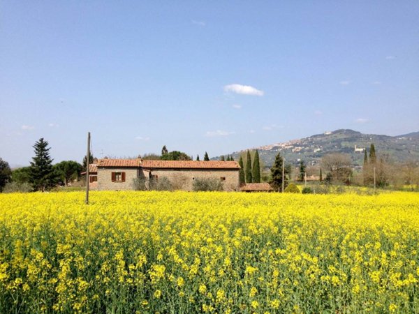 casa indipendente in vendita a Cortona in zona Casale