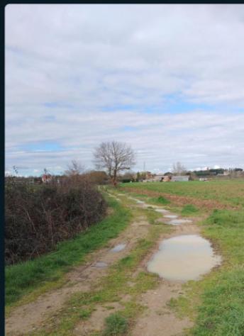 terreno agricolo in vendita a Cortona in zona Fratta