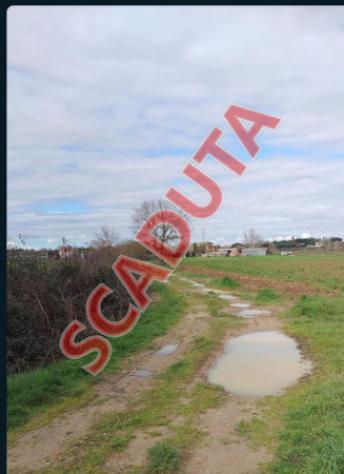 terreno agricolo in vendita a Cortona in zona Fratta