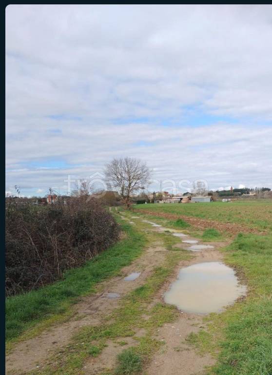 terreno agricolo in vendita a Cortona in zona Fratta