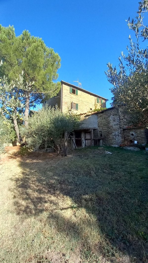 appartamento in vendita a Cortona in zona Cantalena