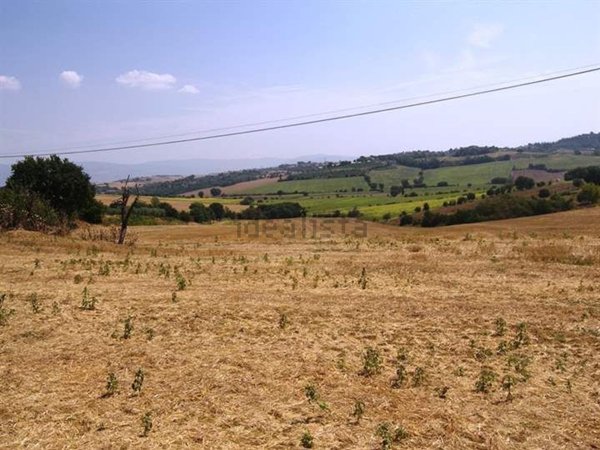 terreno agricolo in vendita a Cortona