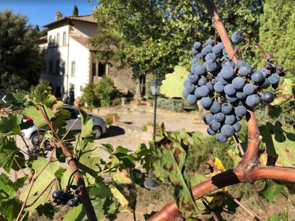 villa in vendita a Cortona in zona Cegliolo