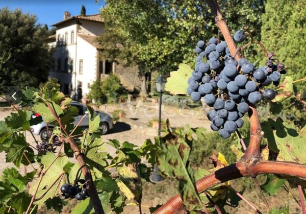 villa in vendita a Cortona in zona Cegliolo