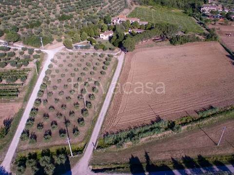 casa indipendente in vendita a Cortona