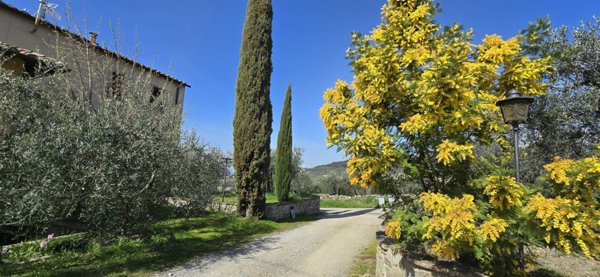 appartamento in vendita a Cortona in zona Terontola