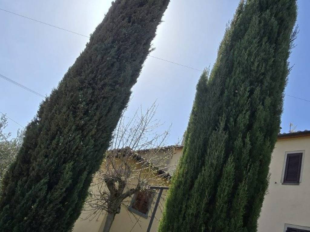 casa indipendente in vendita a Cortona in zona Terontola