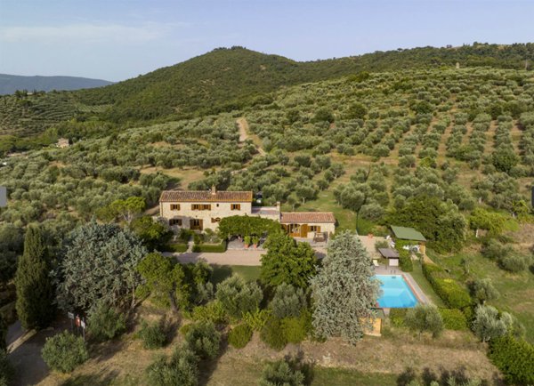 casa indipendente in vendita a Cortona in zona Ossaia