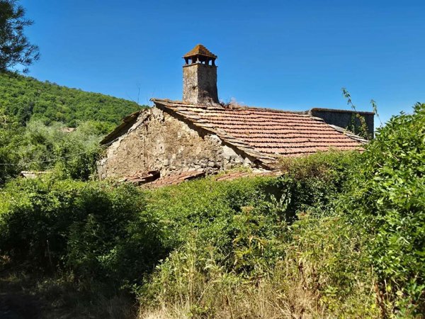 pentavano in vendita a Cortona in zona Poggioni