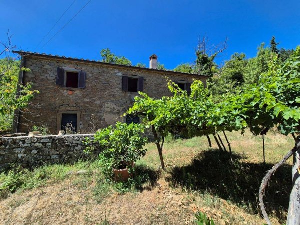 appartamento in vendita a Cortona