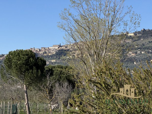casa indipendente in vendita a Cortona in zona Ossaia