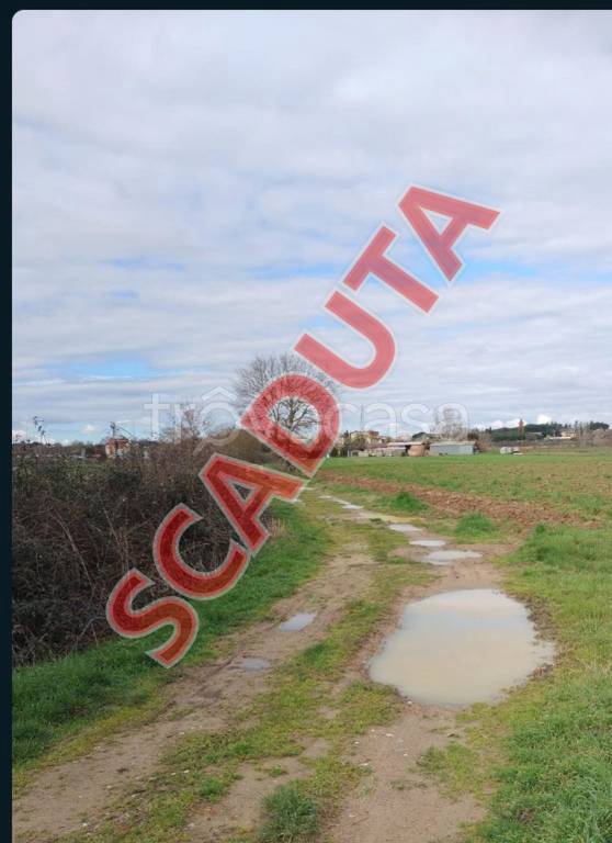 terreno agricolo in vendita a Cortona in zona Fratta