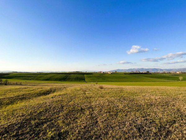 terreno agricolo in vendita a Cortona in zona Farneta