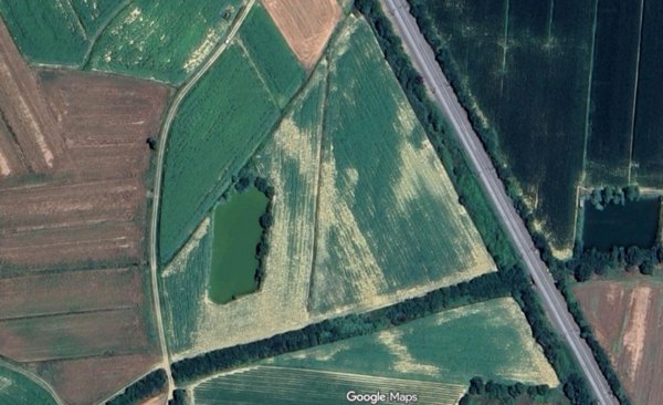 terreno agricolo in vendita a Cortona