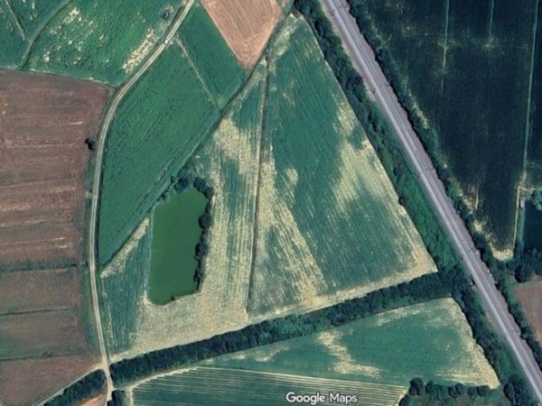 terreno agricolo in vendita a Cortona