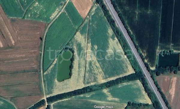 terreno agricolo in vendita a Cortona