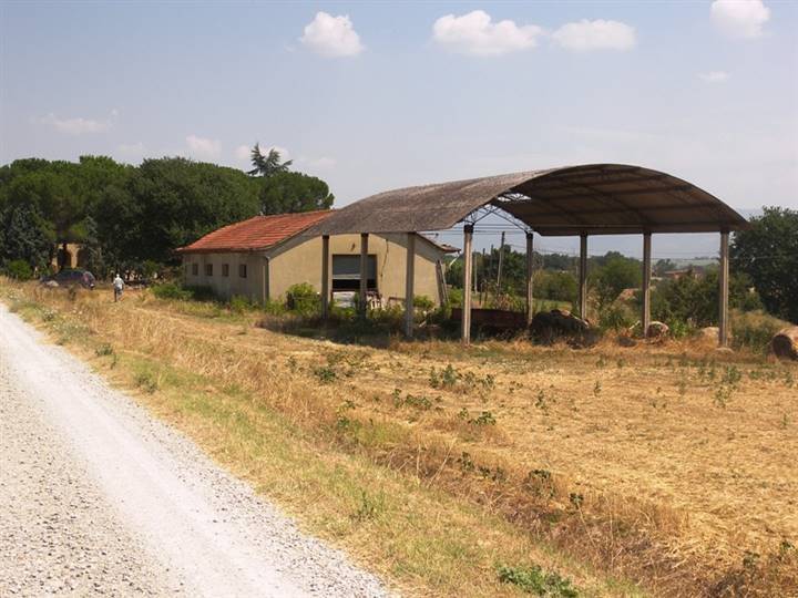 terreno agricolo in vendita a Cortona